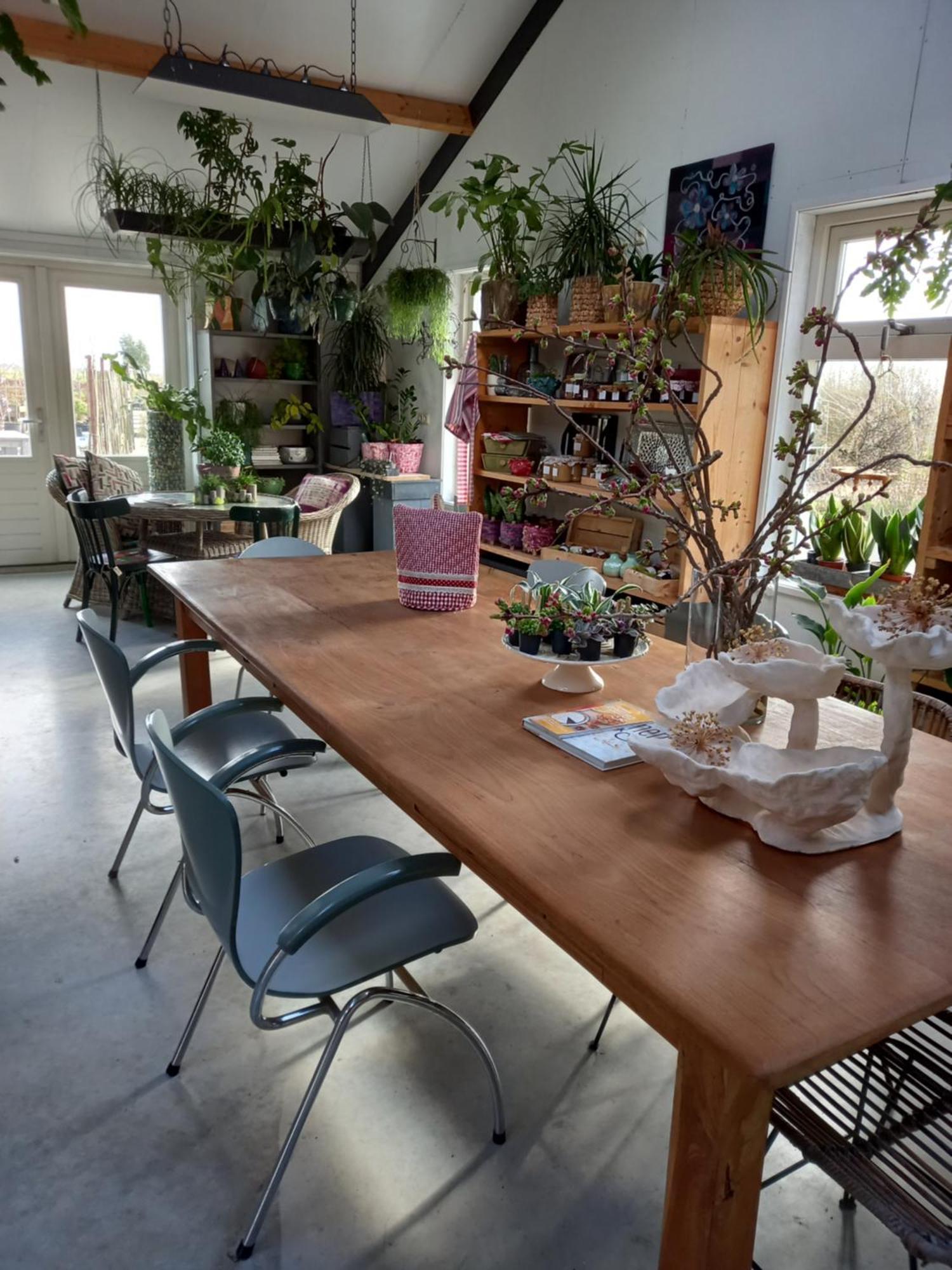 B&B Aan De Fjildwei Rinsumageest ภายนอก รูปภาพ